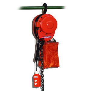 high quality WDPA ELECTRIC HOIST manufacturer